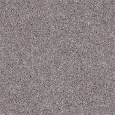 NV226 in Warm Cider Carpet