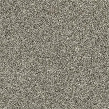 NV228 in Barely There Carpet