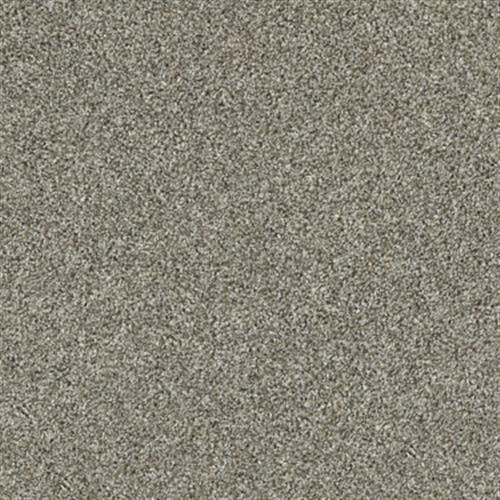 NV228 in Barely There Carpet