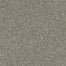 NV228 in Barely There Carpet