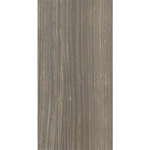 ROCKWOOD 12X24 PLSH in Glade