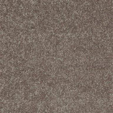 NV231 in Suede Carpet