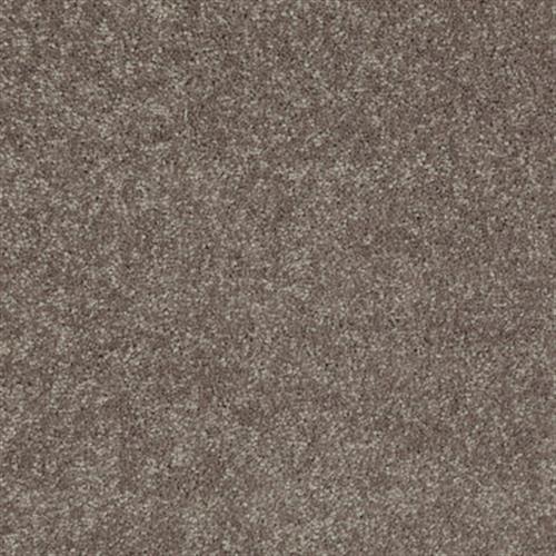 NV231 in Suede Carpet