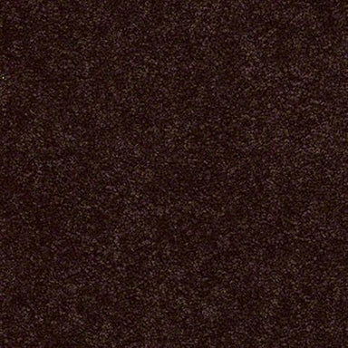 Traditional Allure 12' in Cocoa Powder Carpet