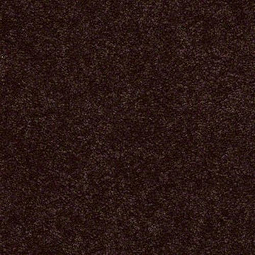Cocoa Powder