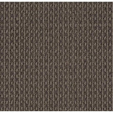 WESTON in Darkroom Carpet