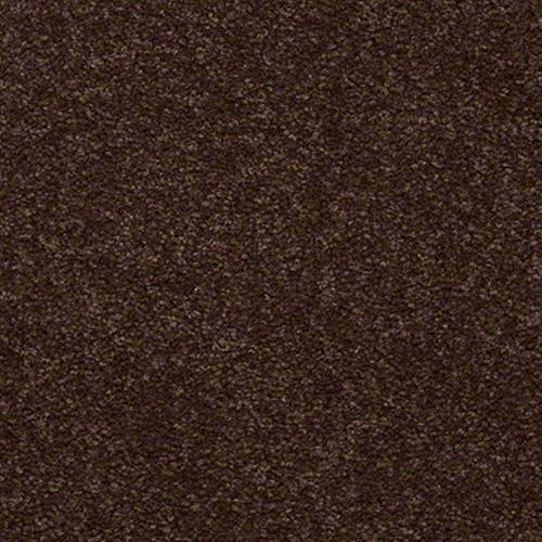 Mission Statement II 12 in Bomber Jacket Carpet