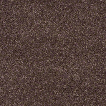 Plush Plum