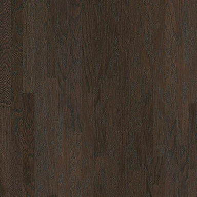 OPEN PORTAL II 3.25 in Coffee Bean Hardwood