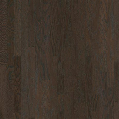 ANN ARBOR 3.25 in Coffee Bean Hardwood