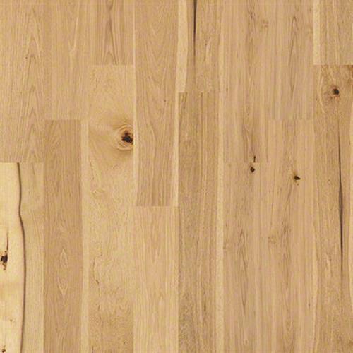 LEACHING HICKORY in Coat Of Arms