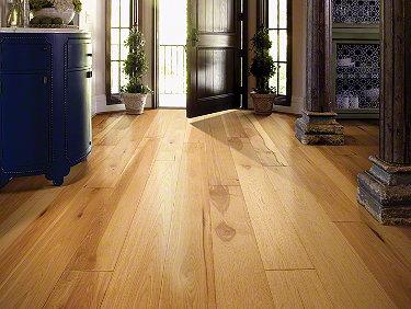 Kingston Hickory in Coat Of Arms