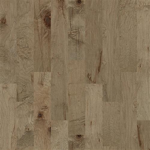 TB TERRACE MAPLE in Gold Dust