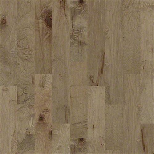 TERRACE MAPLE in Gold Dust