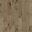 TERRACE MAPLE in Gold Dust Hardwood