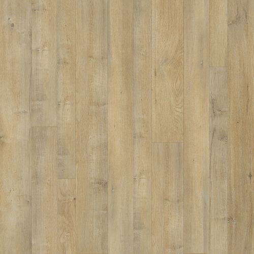 CONNECTION in Renewed