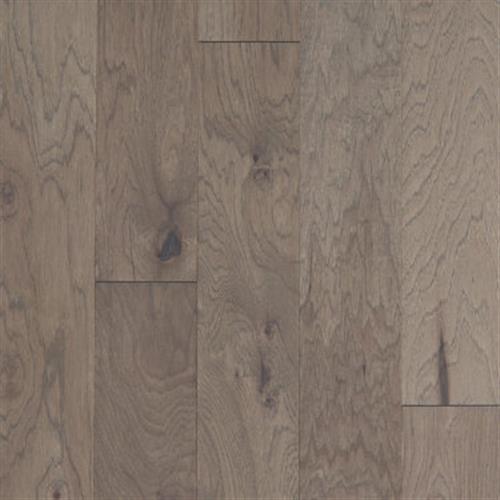 PIEDMONT HICKORY in Morningside