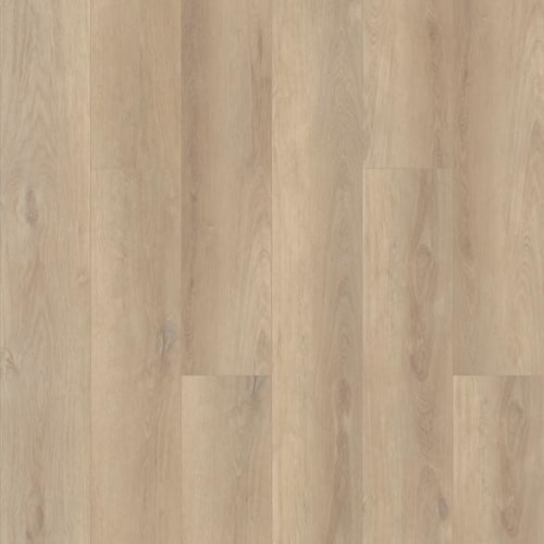 DOMAIN in Aurora Oak