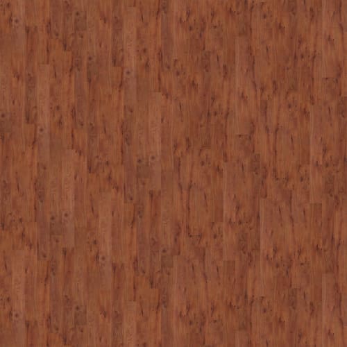 New Market 12 in Burlington