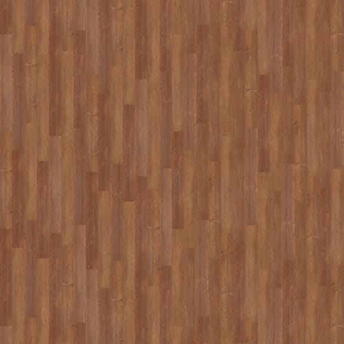 New Market 12 in Lakewood