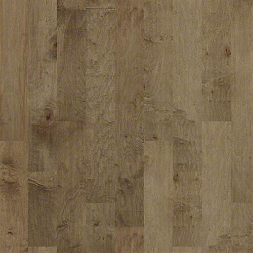 TERRACE MAPLE in Buckskin