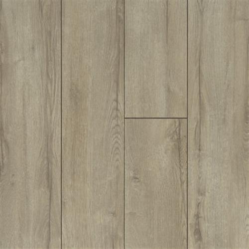 VARIATIONS in Light Natual