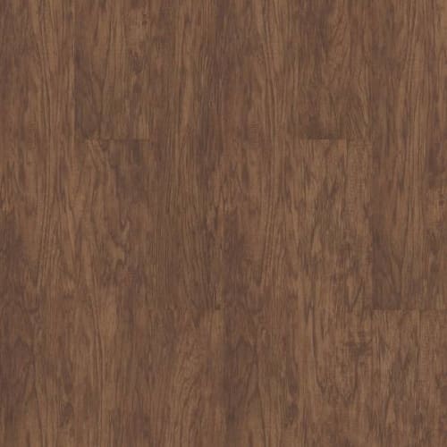 Sumter Plus in Spice Box