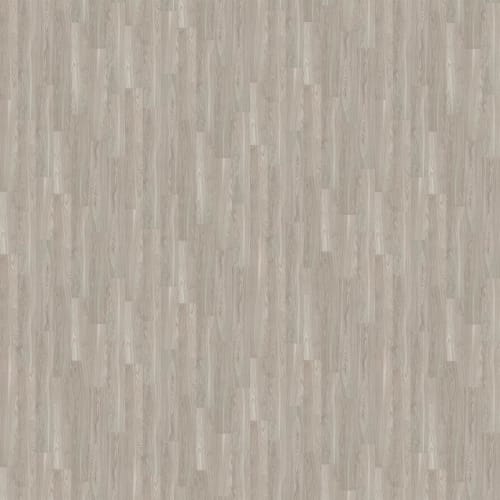 Sumter Plus in Shadow