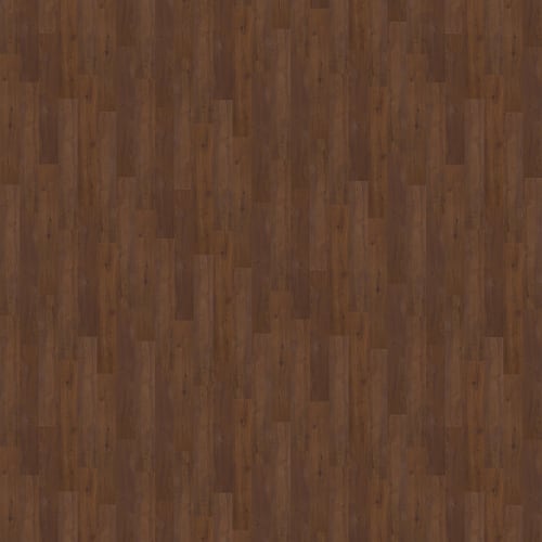 Sumter Plus in Ashville