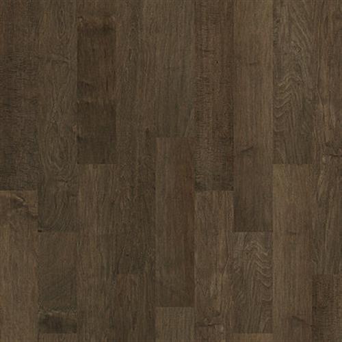 TB TERRACE MAPLE in Bison