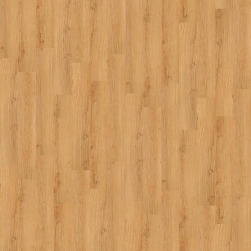 Urbanality 6 Plank in Central Park