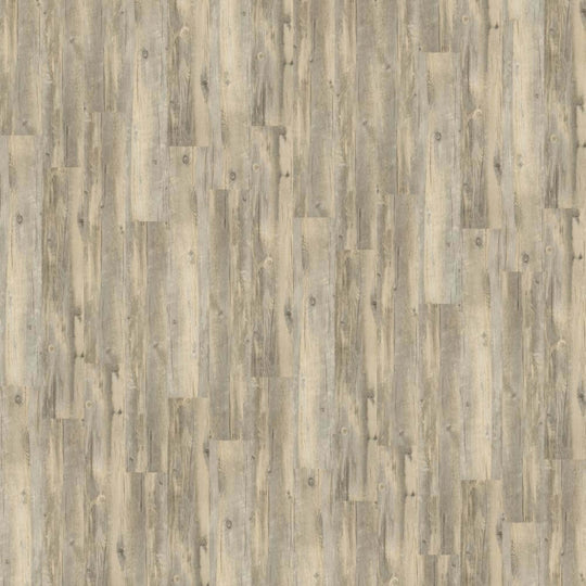 World's Fair 6mil in Brisbane