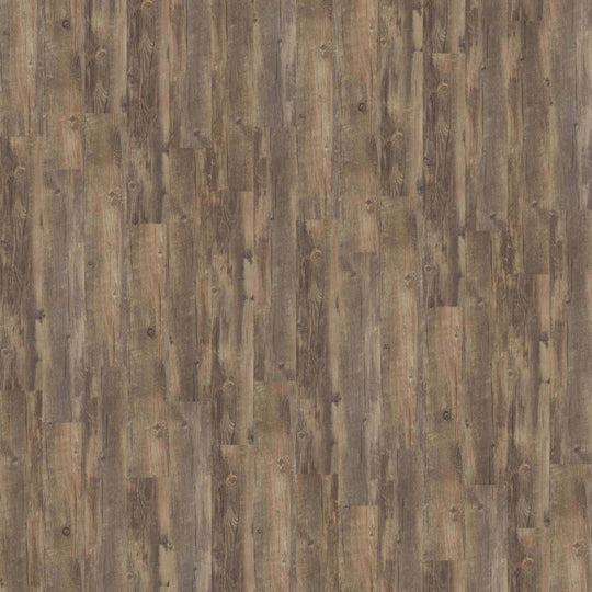 World's Fair 6mil in Montreal