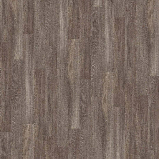 World's Fair 6mil in Dublin