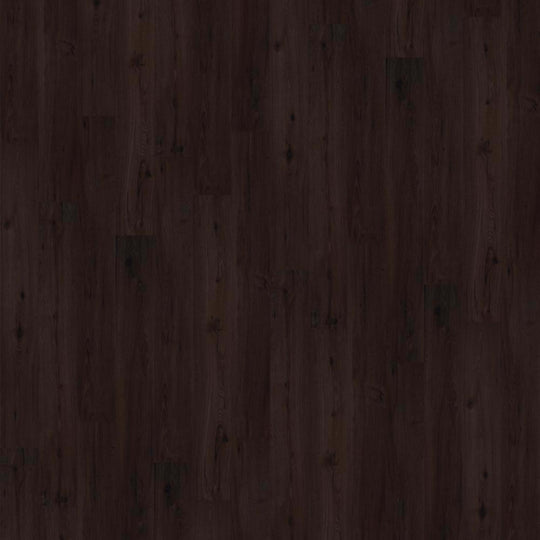 World's Fair 6mil in Barcelona