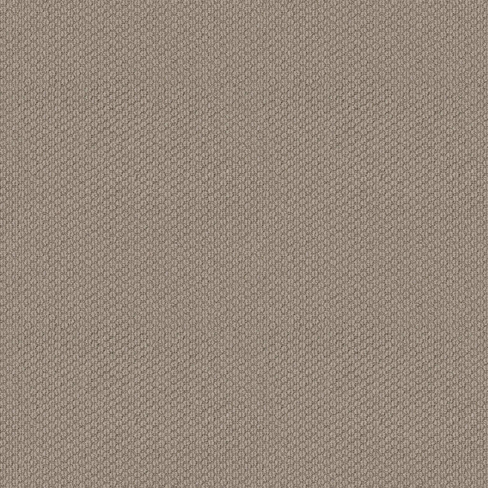 ARBORY HILL in Timeless Carpet