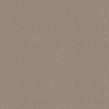 ARBORY HILL in Timeless Carpet