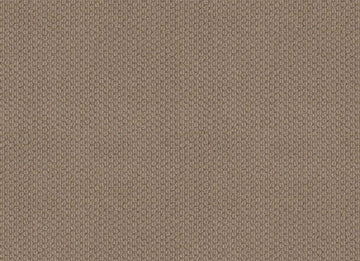 Sand Dune