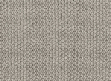 Stylish Gray