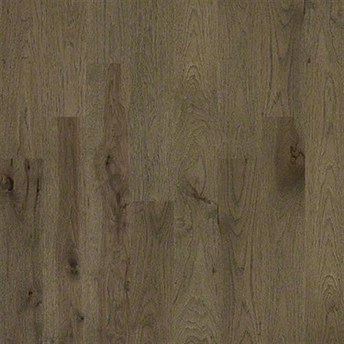 LEACHING HICKORY in Romanesque