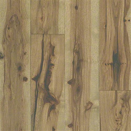 IMPRESSIONS HICKORY in Radiance