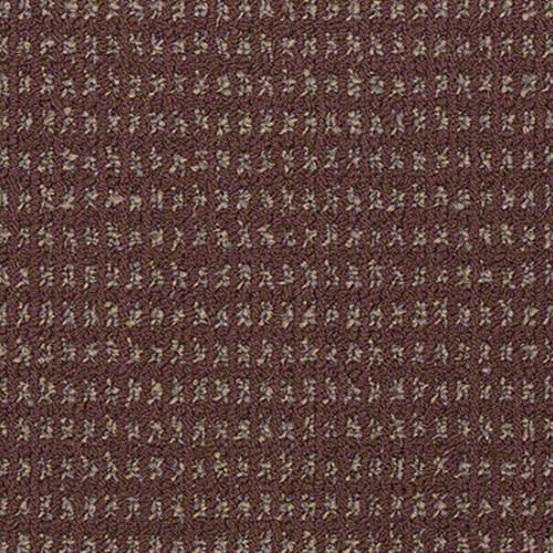 Sp288 in Russet Carpet