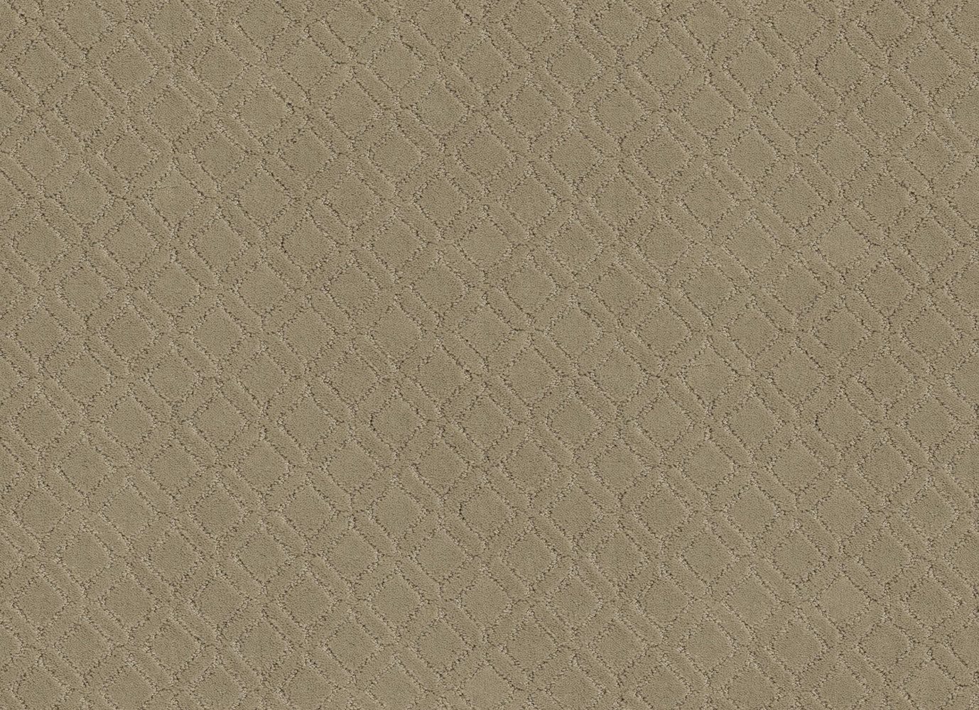 COOL CHIC in Coronado Carpet