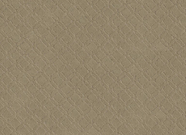 COOL CHIC in Coronado Carpet