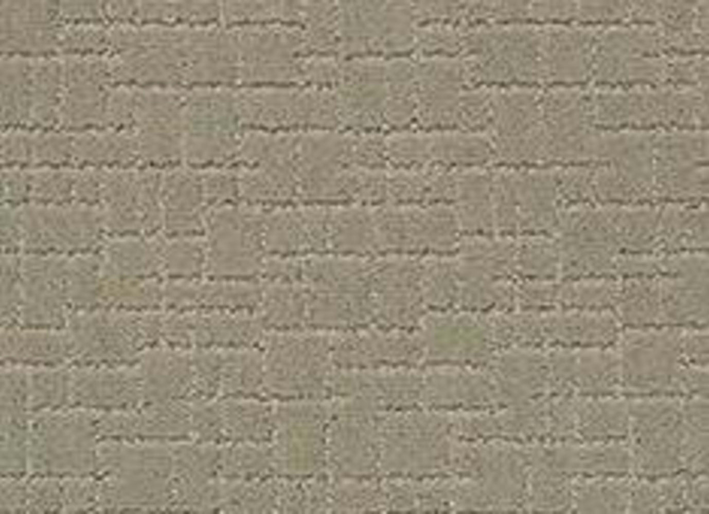 FURRY FRIENDS in Gray Mirage Carpet