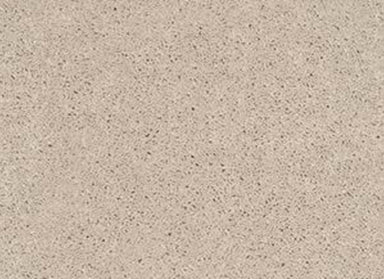 TB STONE PATH in Sugar Cookie Carpet