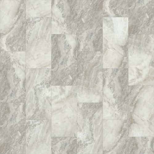 PARAGON TILE PLUS in White Onyx
