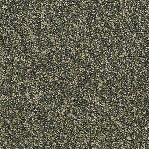 Sp879 in Fernwood Carpet