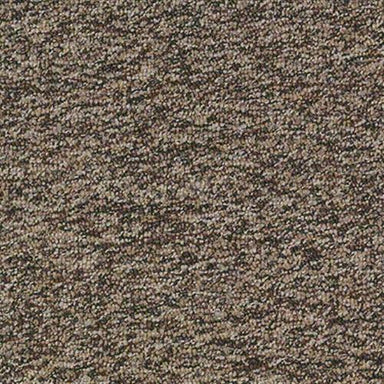 Franchise in Sandstone Carpet
