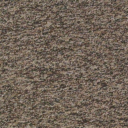 Franchise in Sandstone Carpet